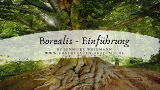  Borealis Einführung Video von Jennifer Weidmann www.urvertauen.de