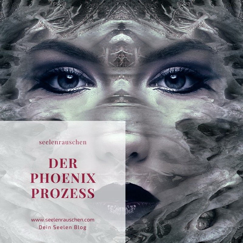 Der Phoenix-Prozess - Urvertrauen