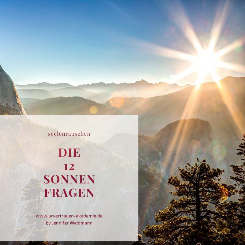 Blog Artikel Die 12 Seelen Sonnen Fragen