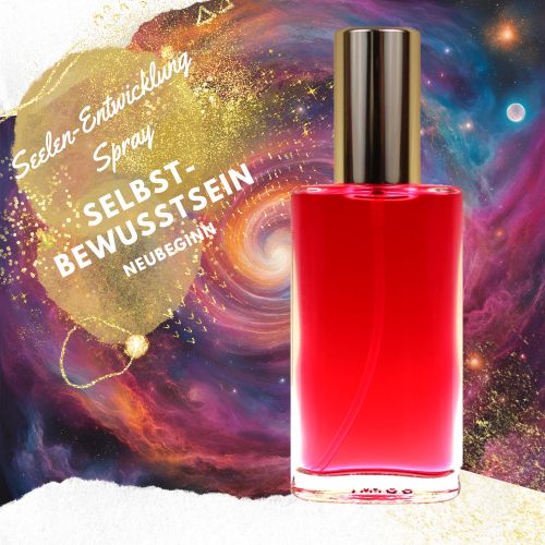 Selbst-Bewusstsein